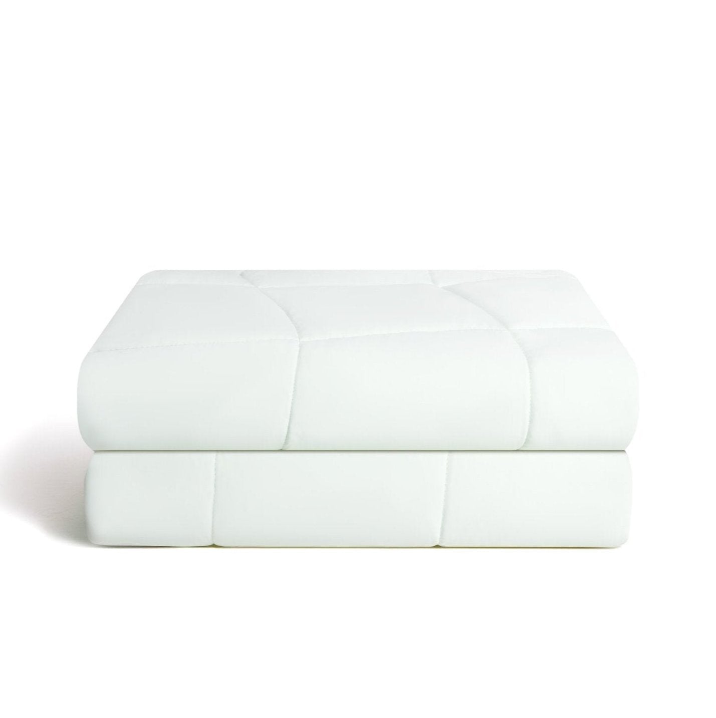 arctic white