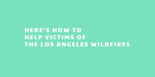 Supporting Those Affected by the Los Angeles Wildfires: Ways to Help